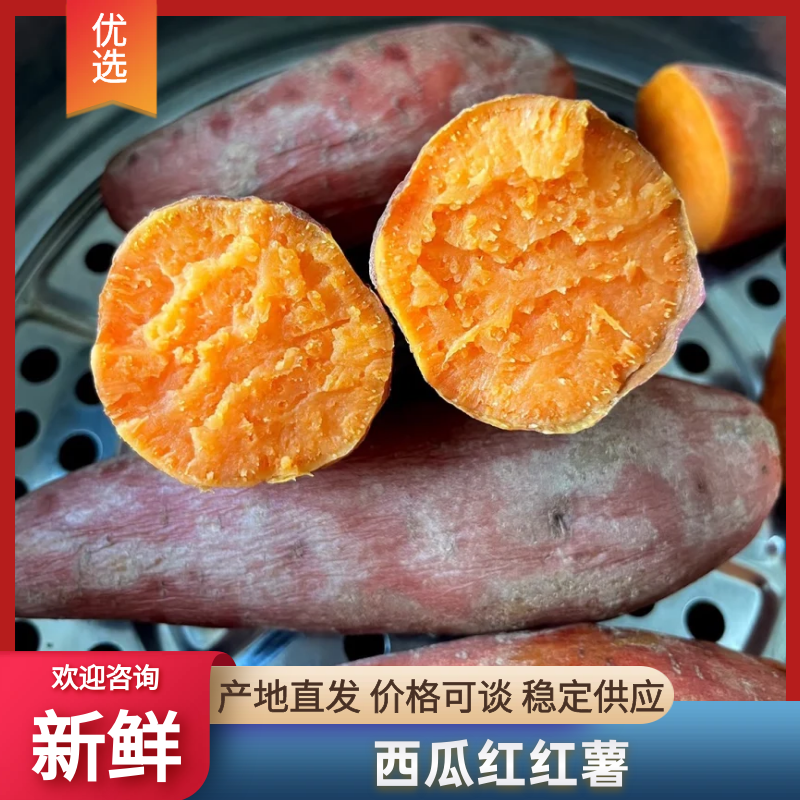 西瓜红山东西瓜红红薯全国发货品质保证质优价廉