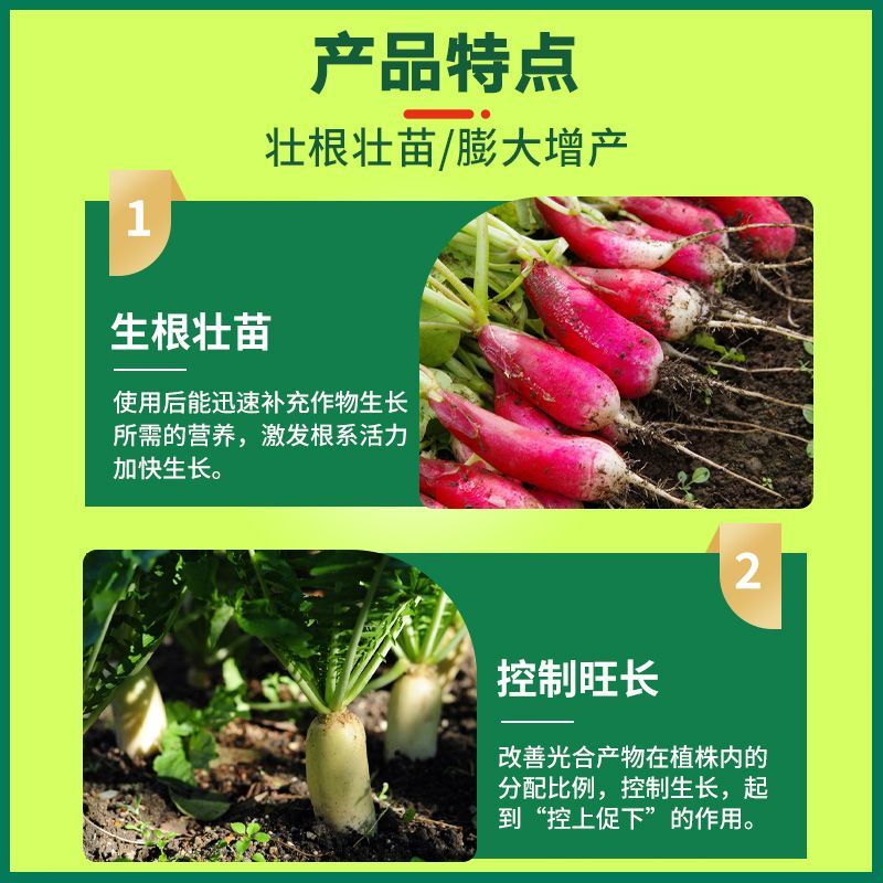 萝卜脆甜大膨大素壮根壮苗防裂果增产抗病肥料促下控上萝卜专