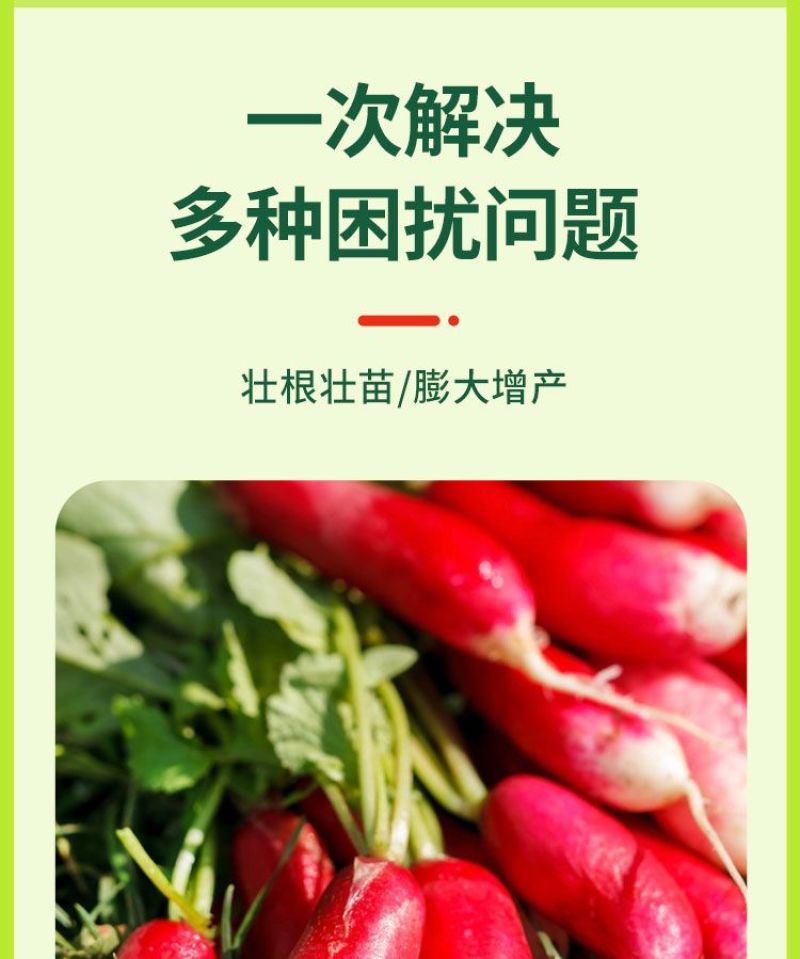 萝卜脆甜大膨大素壮根壮苗防裂果增产抗病肥料促下控上萝卜专