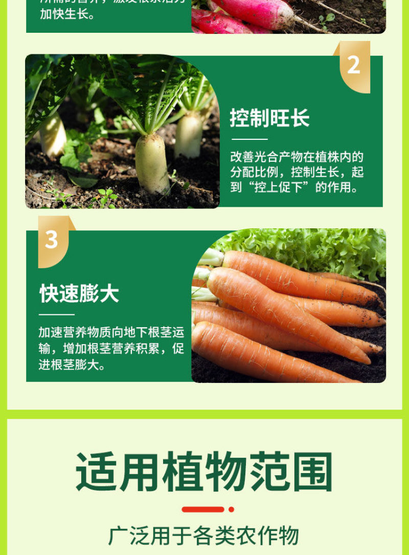 萝卜脆甜大膨大素壮根壮苗防裂果增产抗病肥料促下控上萝卜专