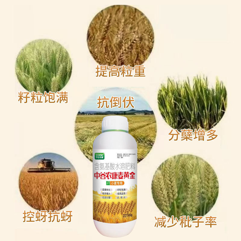 麦黄金小麦高产专用叶面肥增产颗粒大抗倒伏分蘖宝正品水溶肥