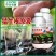 猛生根原液强力生根壮苗剂生根粉液移栽扦插果树花卉通用促生