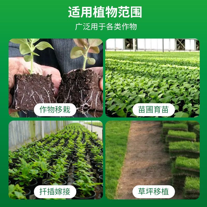 猛生根原液强力生根壮苗剂生根粉液移栽扦插果树花卉通用促生