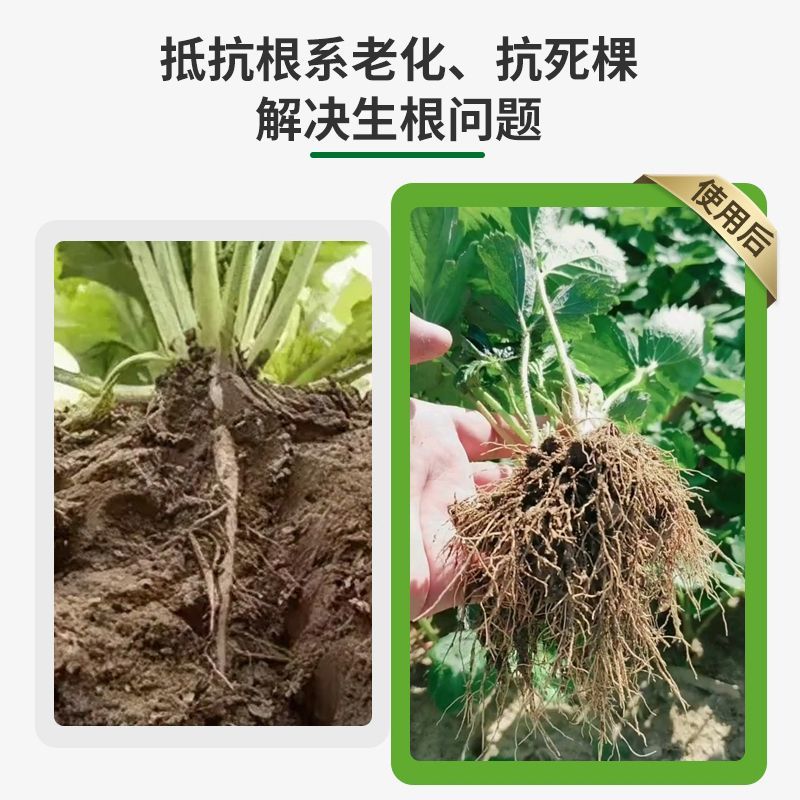 猛生根原液强力生根壮苗剂生根粉液移栽扦插果树花卉通用促生