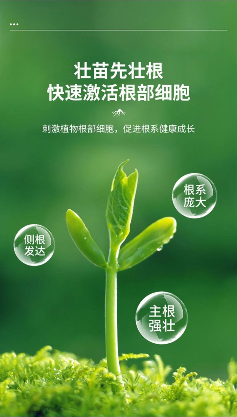 猛生根原液强力生根壮苗剂生根粉液移栽扦插果树花卉通用促生
