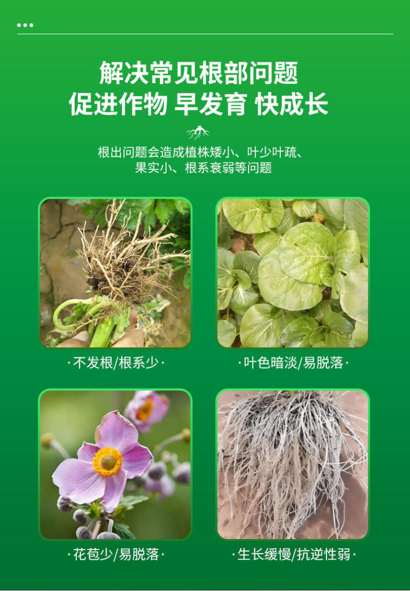 猛生根原液强力生根壮苗剂生根粉液移栽扦插果树花卉通用促生