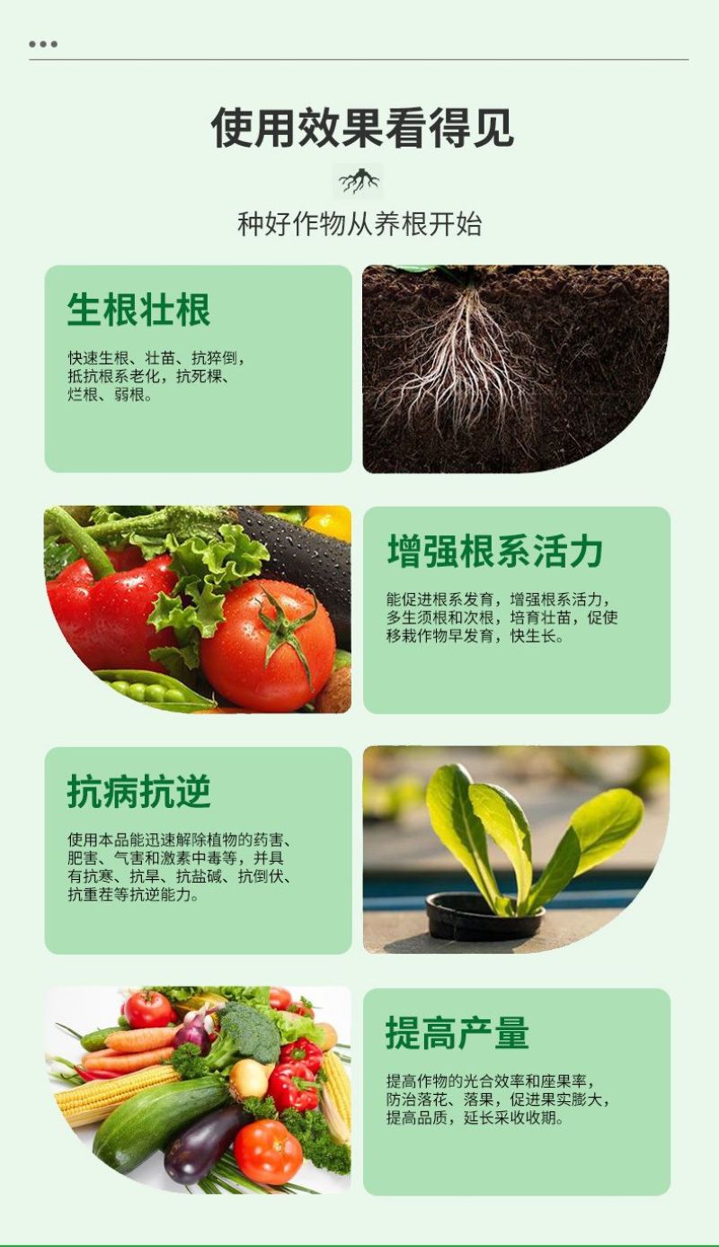 猛生根原液强力生根壮苗剂生根粉液移栽扦插果树花卉通用促生