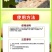 葡萄病菌清专用药农耕农人白粉病全治树立疫青微生物杀菌剂