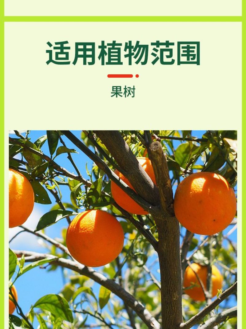 强树宝果树涂杆弱树变强扦插移植通用水溶叶面肥提树势抗病促