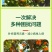 强树宝果树涂杆弱树变强扦插移植通用水溶叶面肥提树势抗病促
