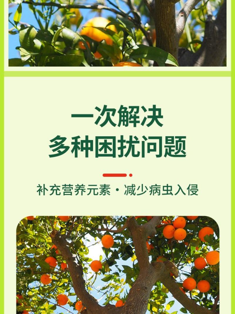 强树宝果树涂杆弱树变强扦插移植通用水溶叶面肥提树势抗病促