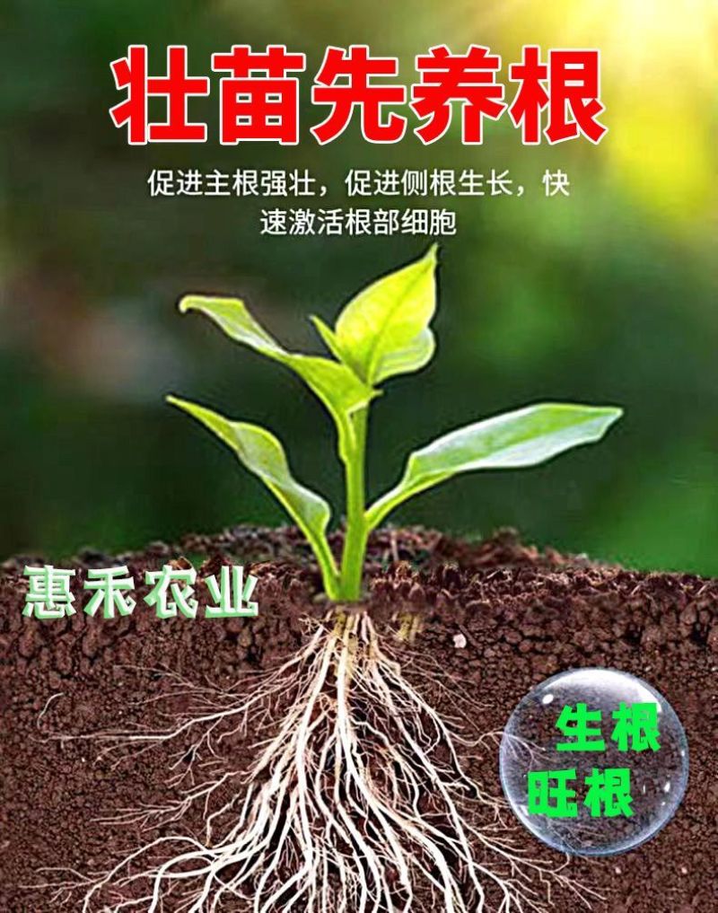 强力生根粉微生物肥生根壮苗改善土壤扦插移栽生根剂通用水溶