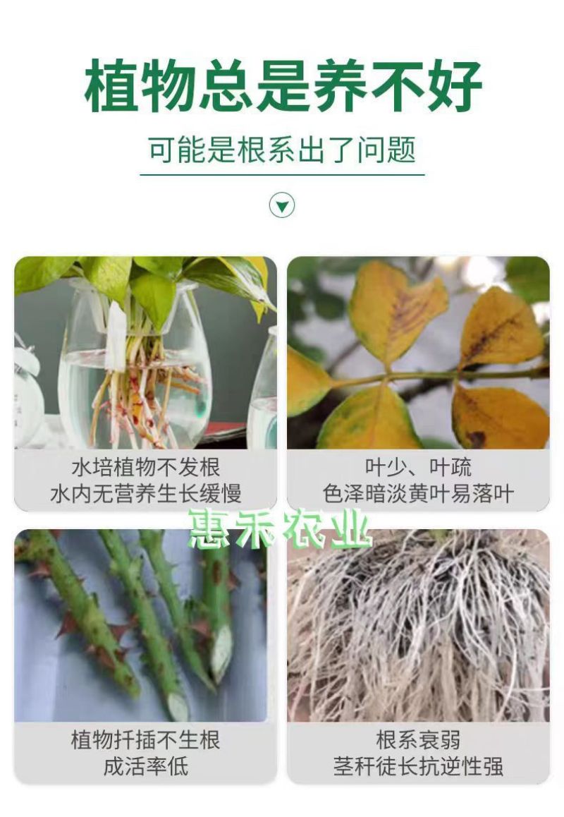 强力生根粉微生物肥生根壮苗改善土壤扦插移栽生根剂通用水溶