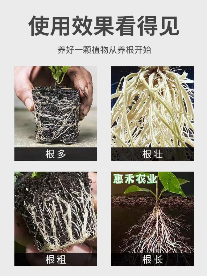 强力生根粉微生物肥生根壮苗改善土壤扦插移栽生根剂通用水溶