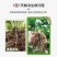 强力生根粉微生物肥生根壮苗改善土壤扦插移栽生根剂通用水溶