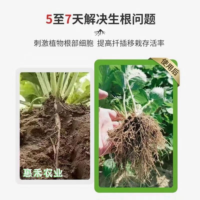强力生根粉微生物肥生根壮苗改善土壤扦插移栽生根剂通用水溶