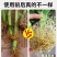 强力生根粉微生物肥生根壮苗改善土壤扦插移栽生根剂通用水溶