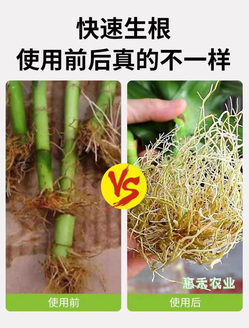 强力生根粉微生物肥生根壮苗改善土壤扦插移栽生根剂通用水溶