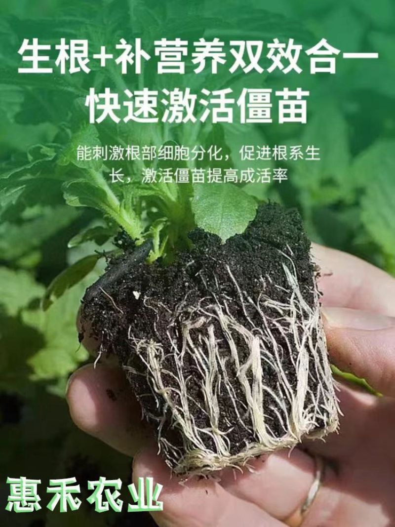 强力生根粉微生物肥生根壮苗改善土壤扦插移栽生根剂通用水溶