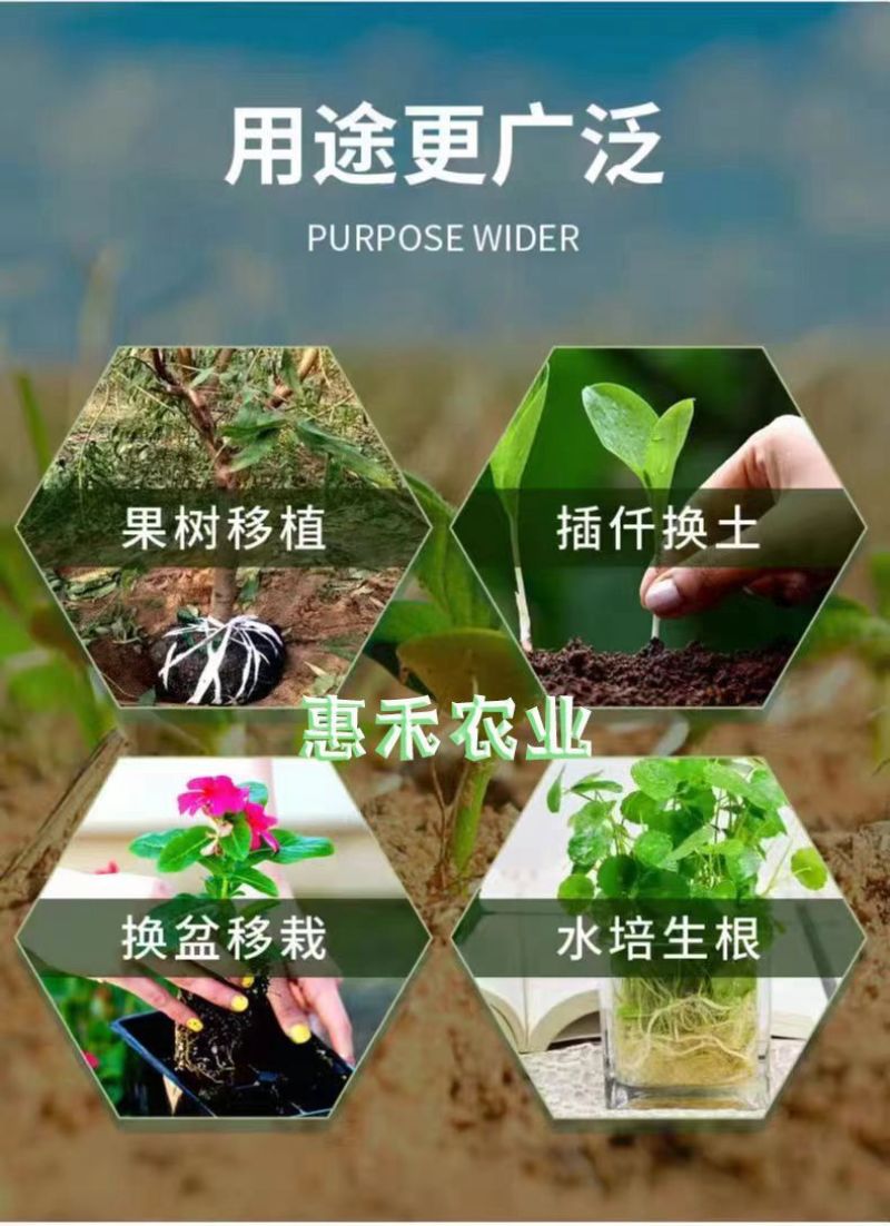强力生根粉微生物肥生根壮苗改善土壤扦插移栽生根剂通用水溶