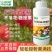 果树座果灵果树强力授粉促花促果防落果防裂果树坐果灵果树授