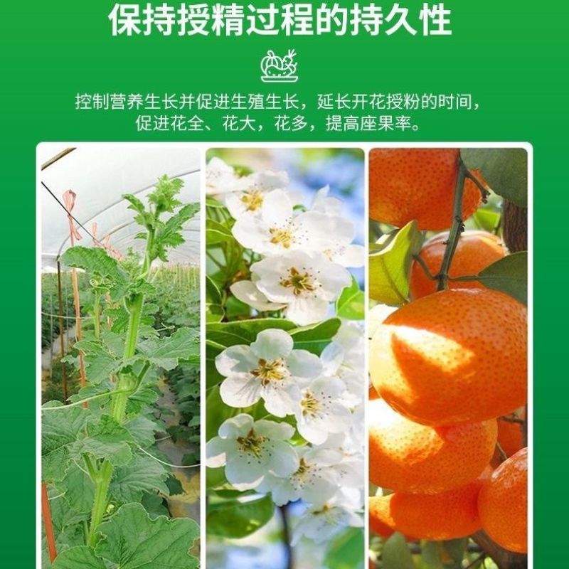 果树座果灵果树强力授粉促花促果防落果防裂果树坐果灵果树授