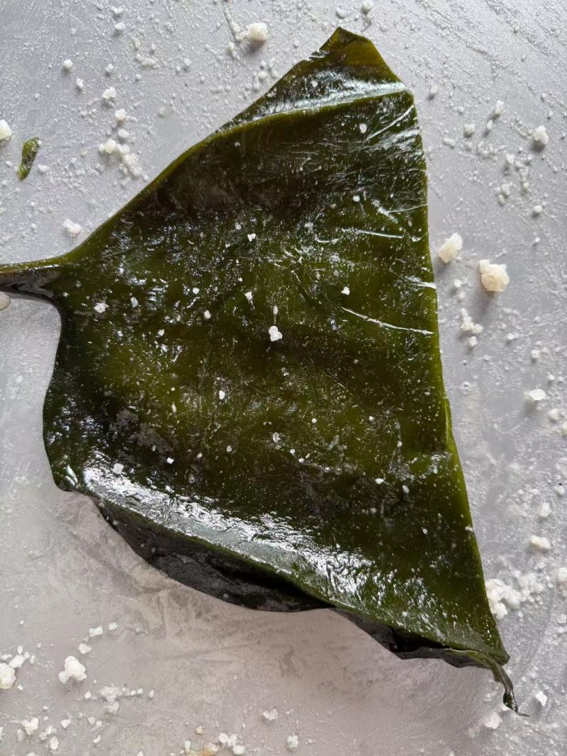 山东海带腌渍海带海带皮质量保证价格实惠欢迎电联