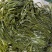 山东海带腌渍海带海带皮质量保证价格实惠欢迎电联