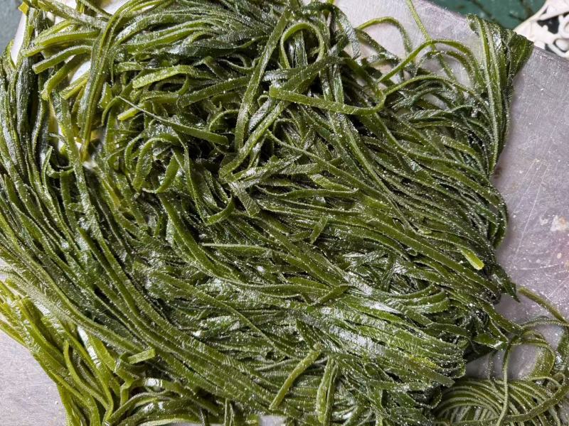 山东海带腌渍海带海带皮质量保证价格实惠欢迎电联