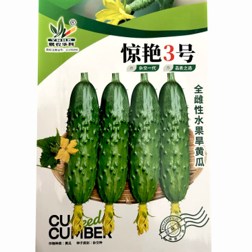 水果黄瓜种子旱黄瓜籽全雌型节节有瓜头尾顺直基地品种