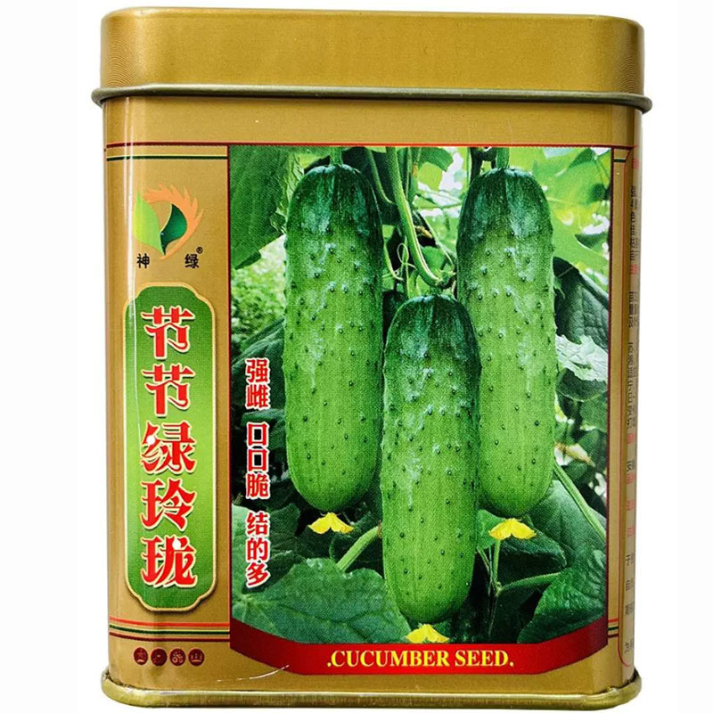 节节绿玲珑黄瓜种子绿皮绿肉水果黄瓜种籽南北方春夏秋