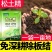 松土精土壤改良剂调理土壤板结抗重茬免深耕松土保水保肥剂