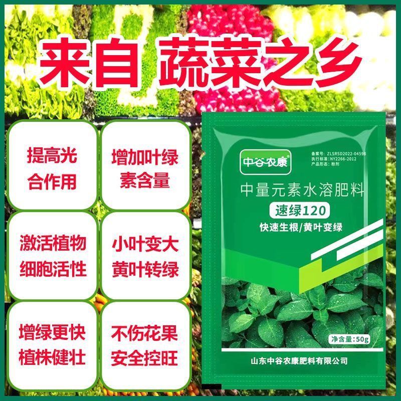 速绿120黄叶变绿叶面肥中量元素水溶肥一喷绿叶片增厚强光