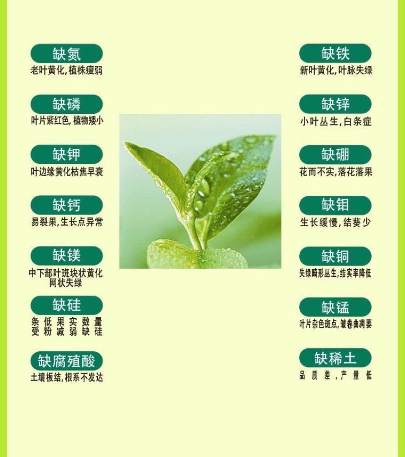 速绿120黄叶变绿叶面肥中量元素水溶肥一喷绿叶片增厚强光