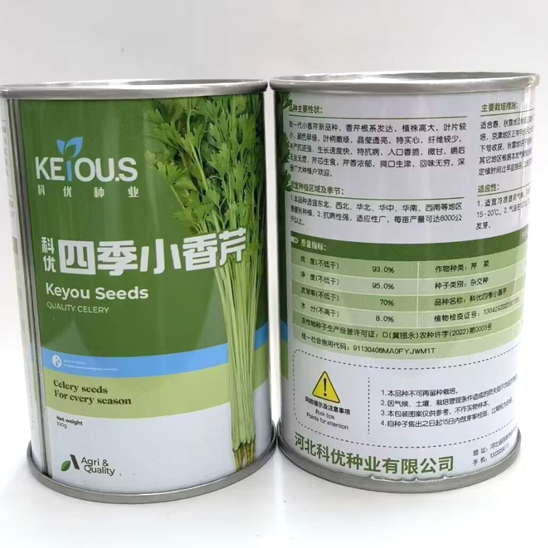 四季小香芹种子100克罐装抗病香脆微甘芹香浓郁