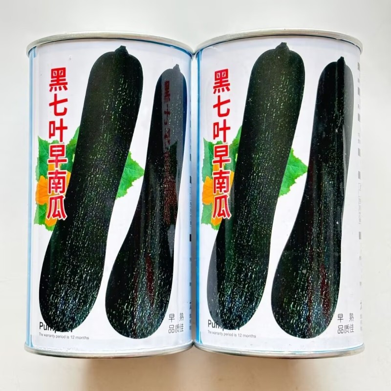 黑七叶早南瓜种子早熟果颈实心果肚较小味甜微面
