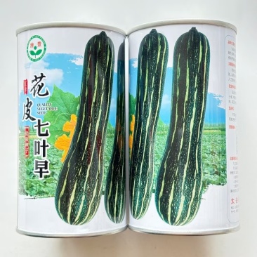 花皮七叶早南瓜种子果颈实心果肚较小叶甜微面