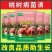 桃树病菌清桃树专用微生物菌剂专用流胶穿孔流胶病真菌细菌病