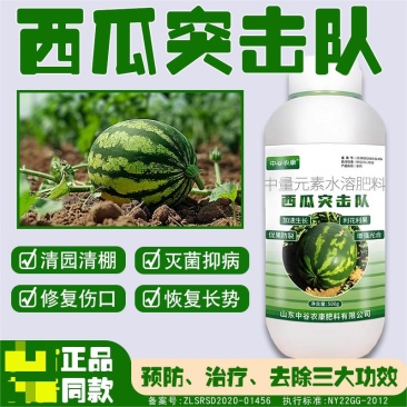 西瓜突击队西瓜甜瓜哈密瓜香瓜专用防炭疽枯萎微生物制剂