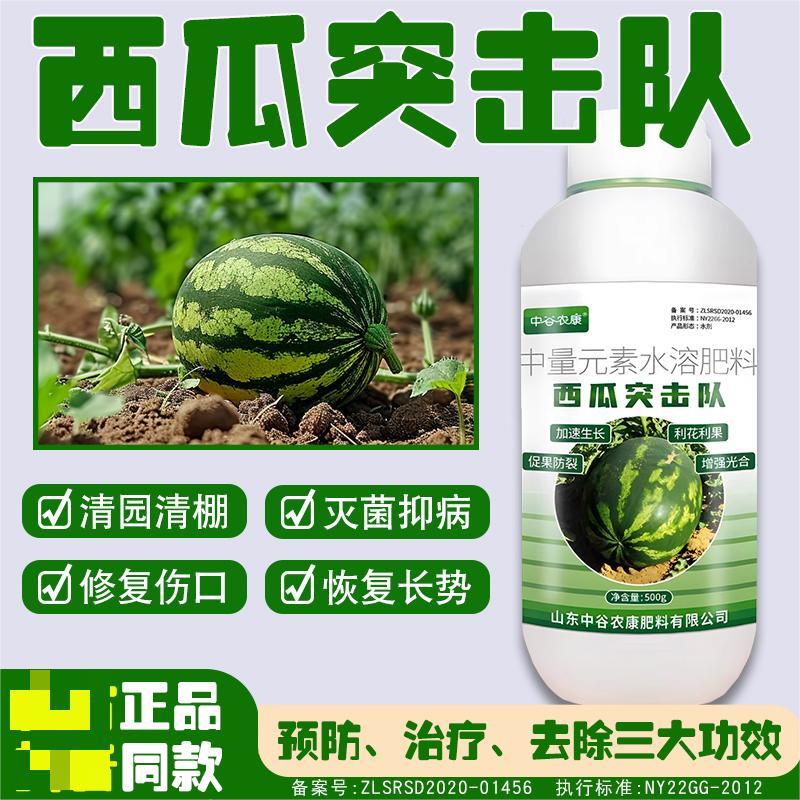 西瓜突击队西瓜甜瓜哈密瓜香瓜专用防炭疽枯萎微生物制剂