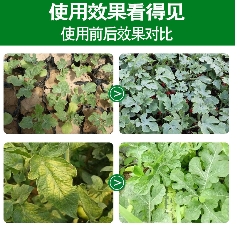 西瓜突击队西瓜甜瓜哈密瓜香瓜专用防炭疽枯萎微生物制剂