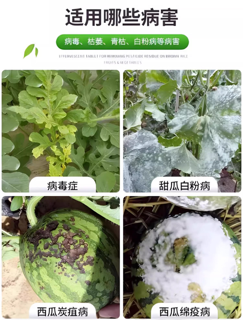 西瓜突击队西瓜甜瓜哈密瓜香瓜专用防炭疽枯萎微生物制剂