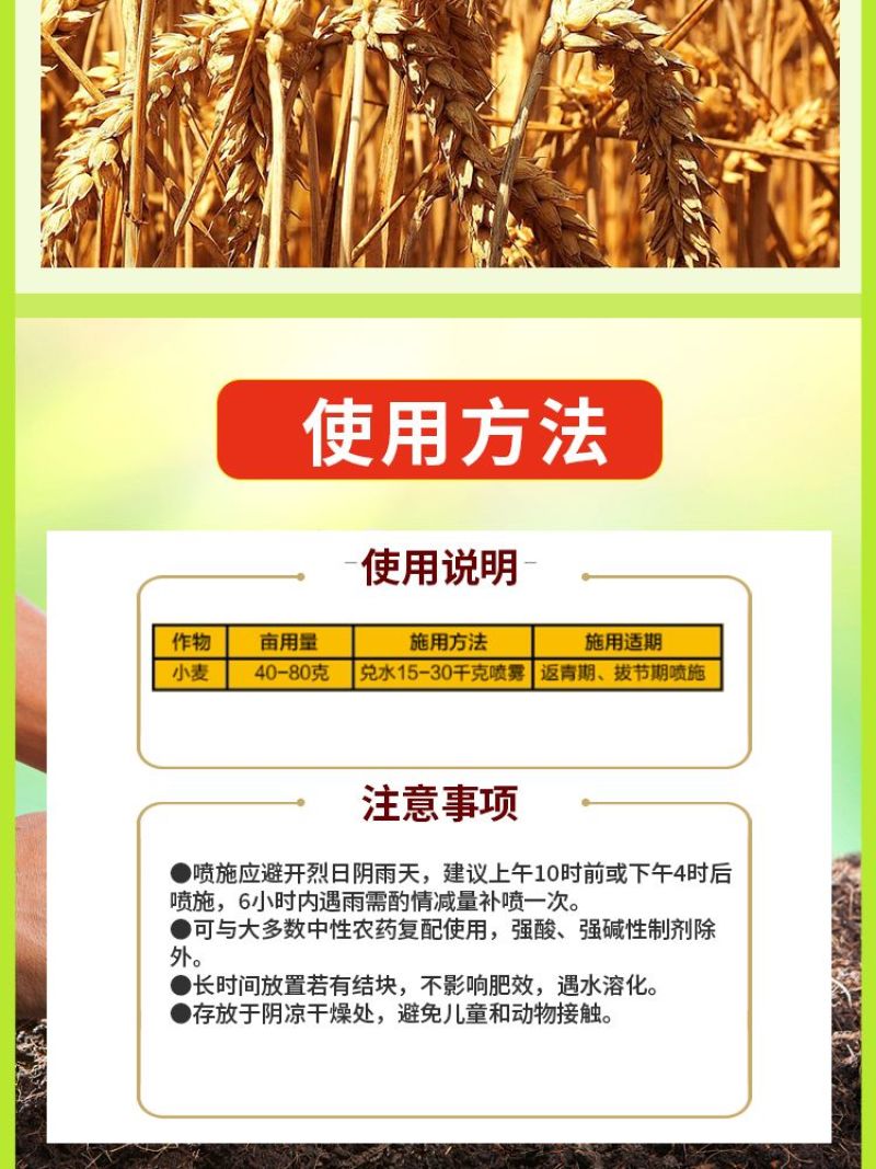 小麦宝宝叶面肥料麦黄金种植专用补充营养穗大粒饱生根壮苗增