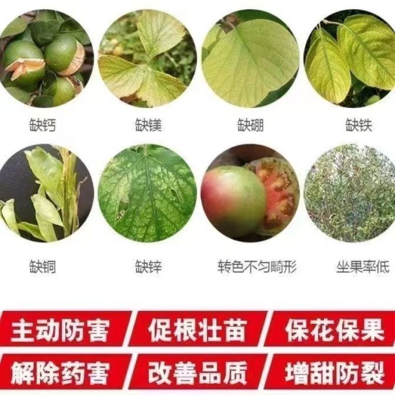 锌硼钾钙铁镁壮花保果含氨基酸水溶肥膨大素防裂果微量元素