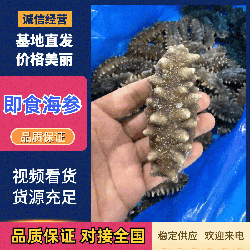 即食海参，一手货源，产地直发，诚信经营，可视频看货