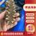 即食海参，一手货源，产地直发，诚信经营，可视频看货
