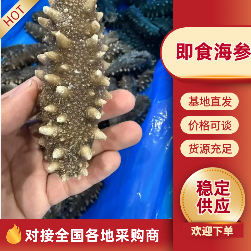 即食海参，一手货源，产地直发，诚信经营，可视频看货