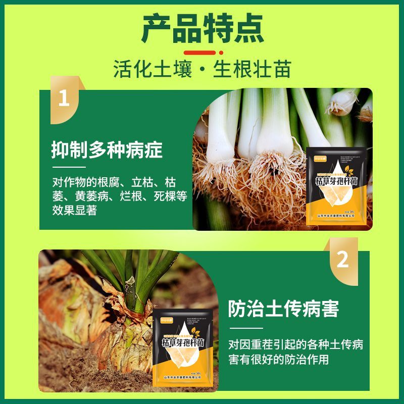 枯草芽孢杆菌蔬菜土壤改良菌农用防治病害杀菌剂微生物菌肥