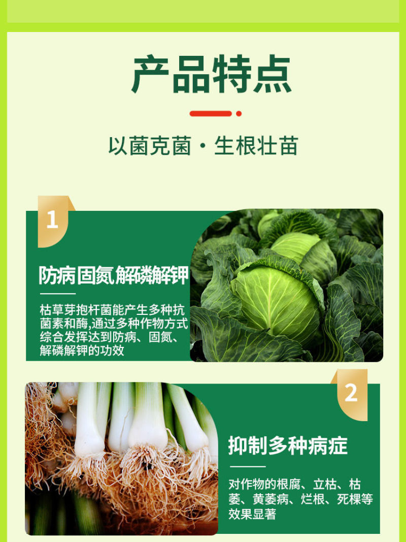 枯草芽孢杆菌蔬菜土壤改良菌农用防治病害杀菌剂微生物菌肥