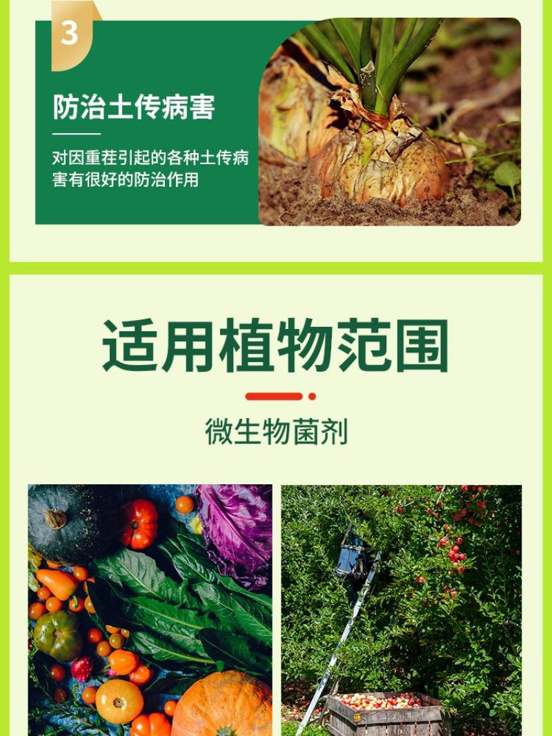 枯草芽孢杆菌蔬菜土壤改良菌农用防治病害杀菌剂微生物菌肥